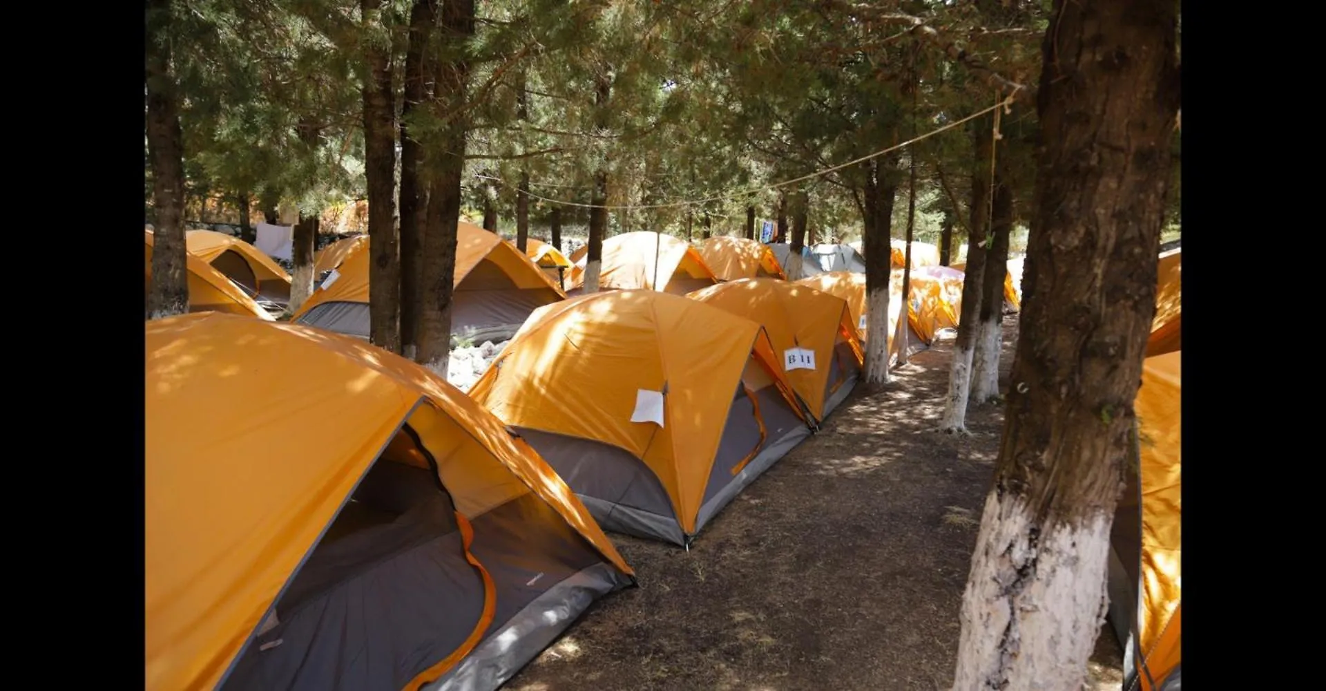 The Sea Turtle Camp Hotell Dhërmi Camping