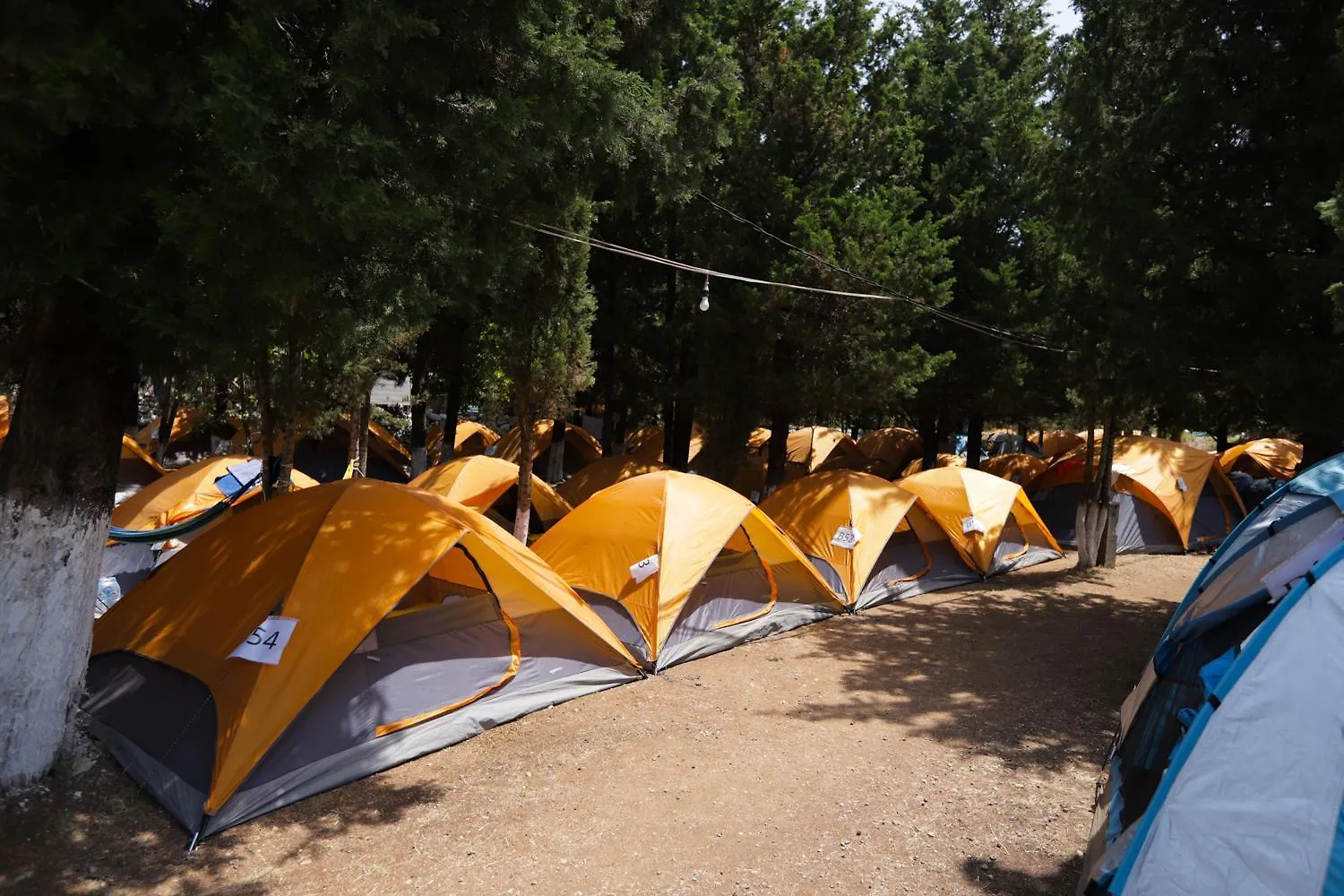 Camping The Sea Turtle Camp Hotell Dhërmi Albanien