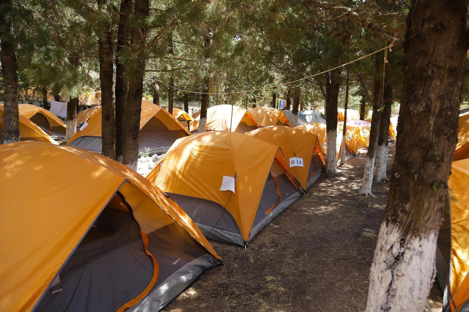 Camping The Sea Turtle Camp Hotell Dhërmi