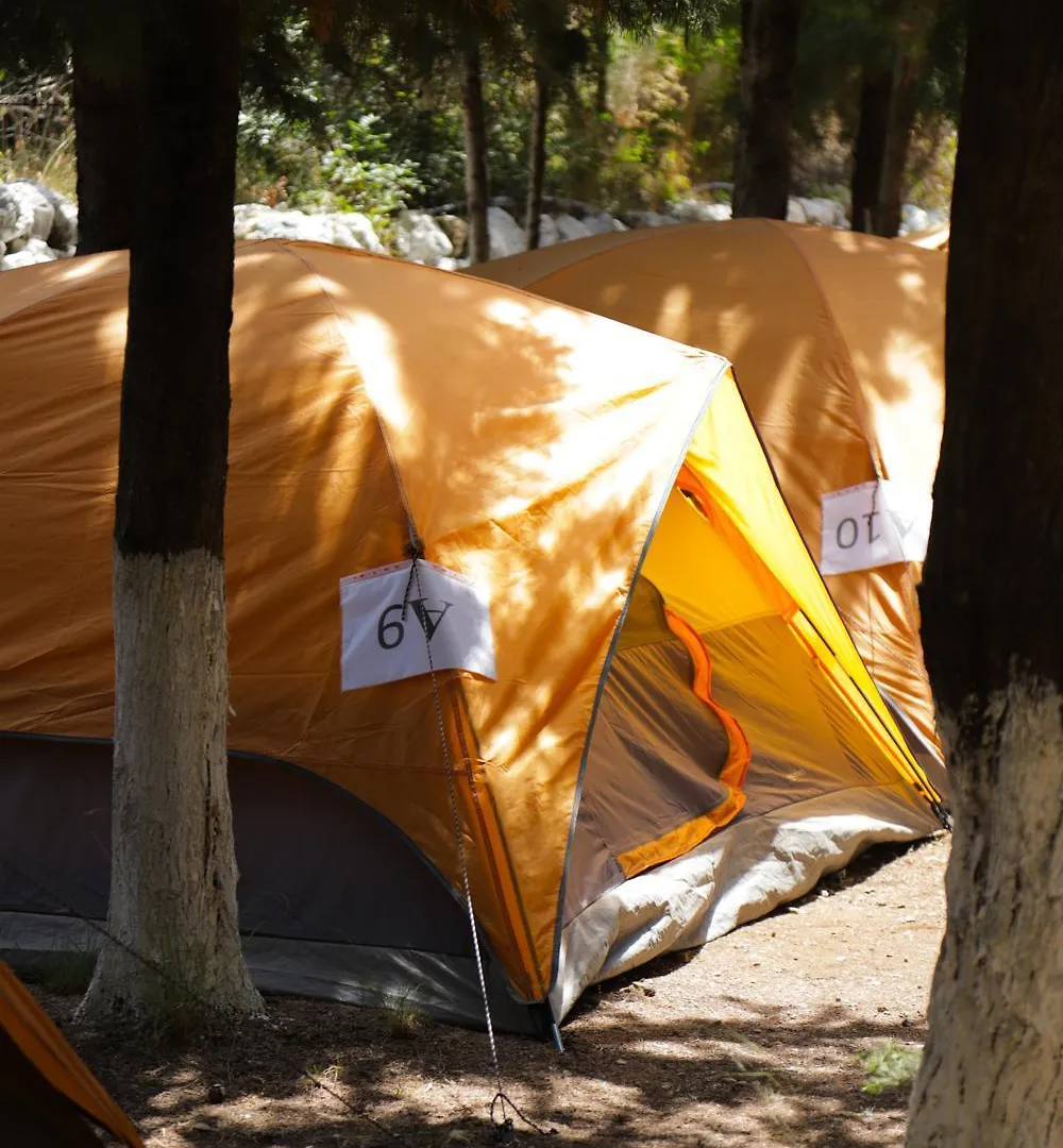 The Sea Turtle Camp Hotel Dhermi Campsite